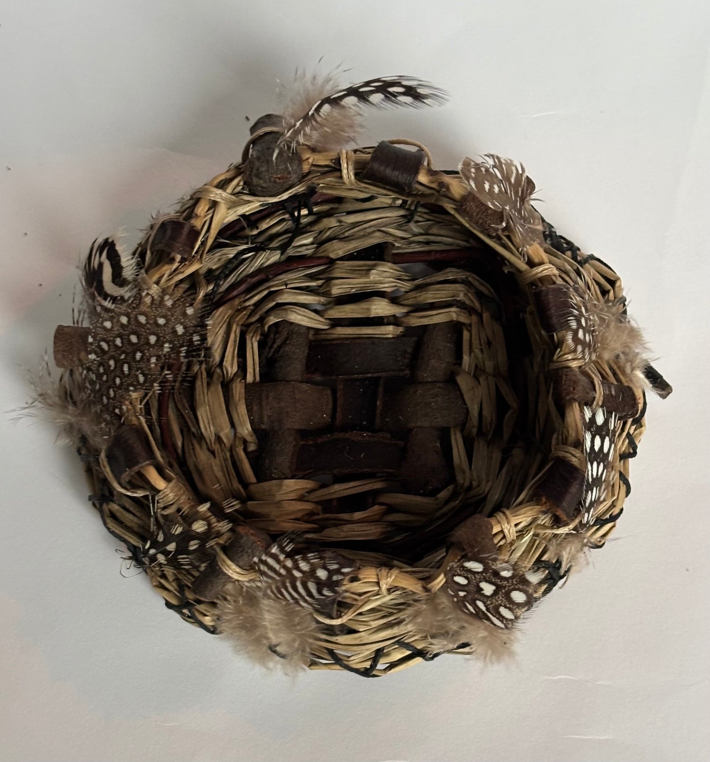 "The NEST"
