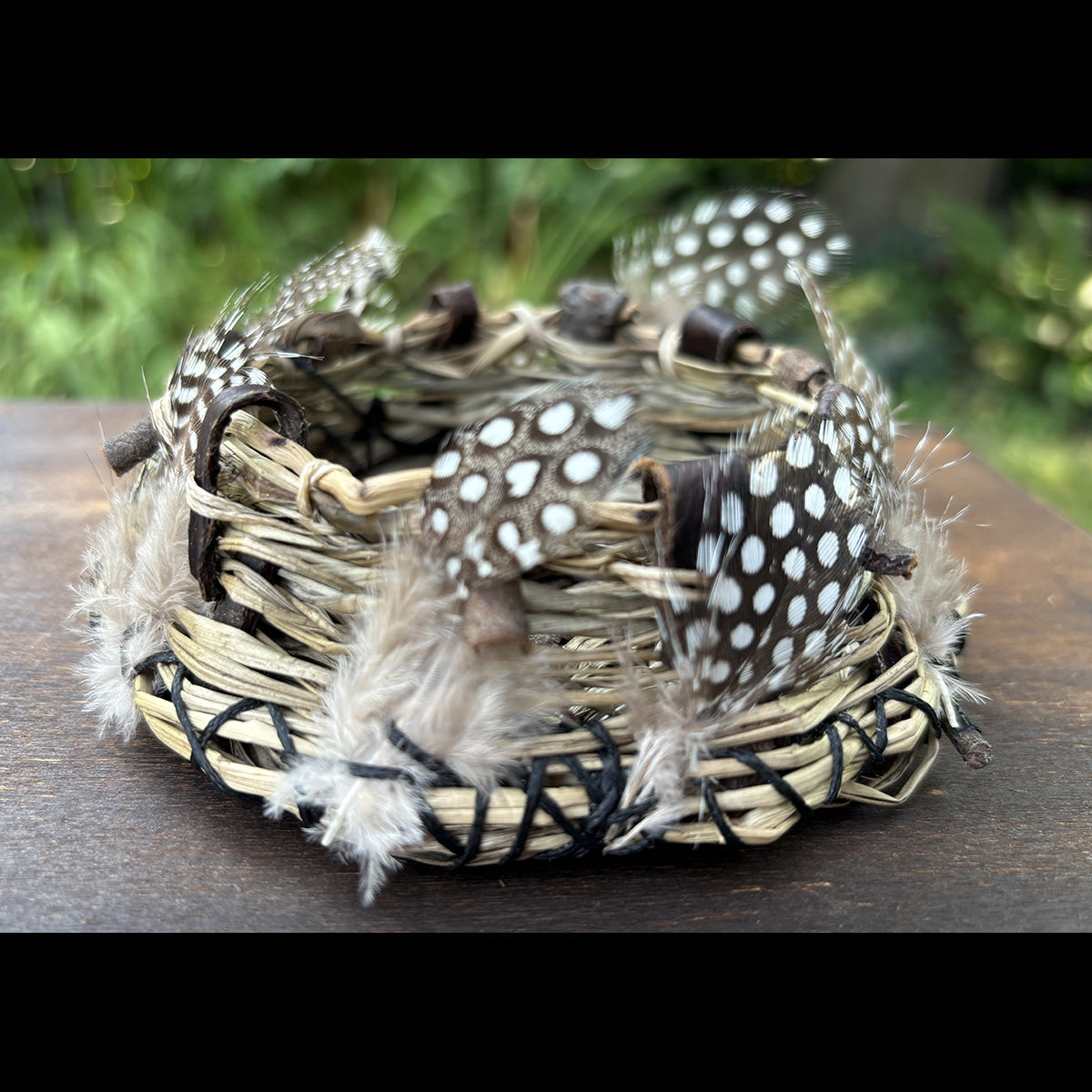 The NEST