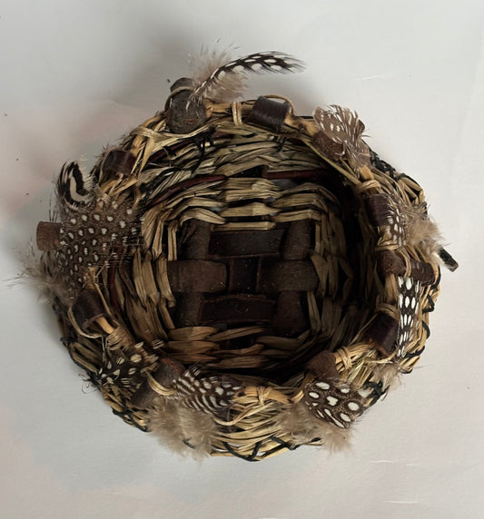 "The NEST"