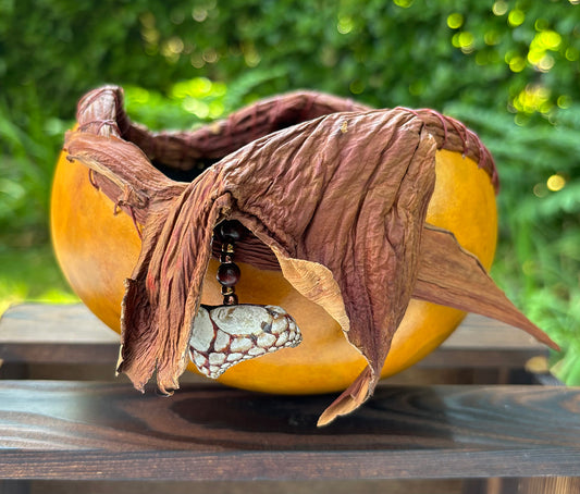 Gourdy Hawn