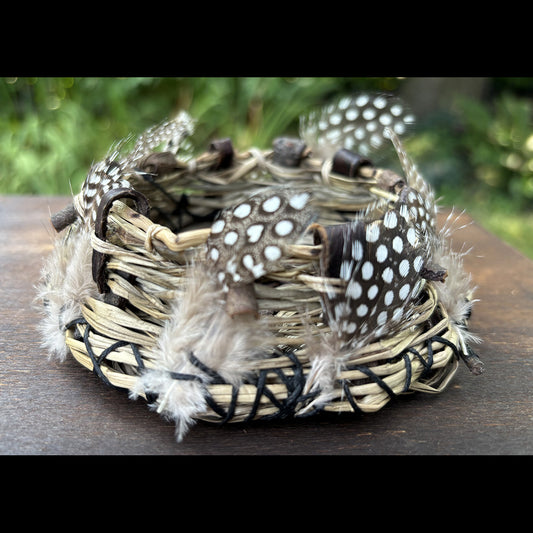 The NEST